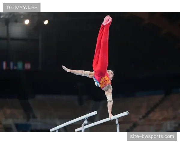 体操项目新增男子鞍马吊环双杠全能 比赛看点增多